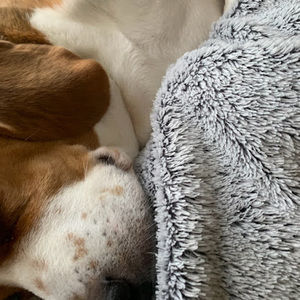 Meet your Posher, Antonio